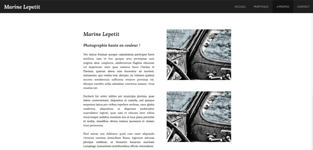 site vitrine photographe marine Lepetit portfolio - le web francais