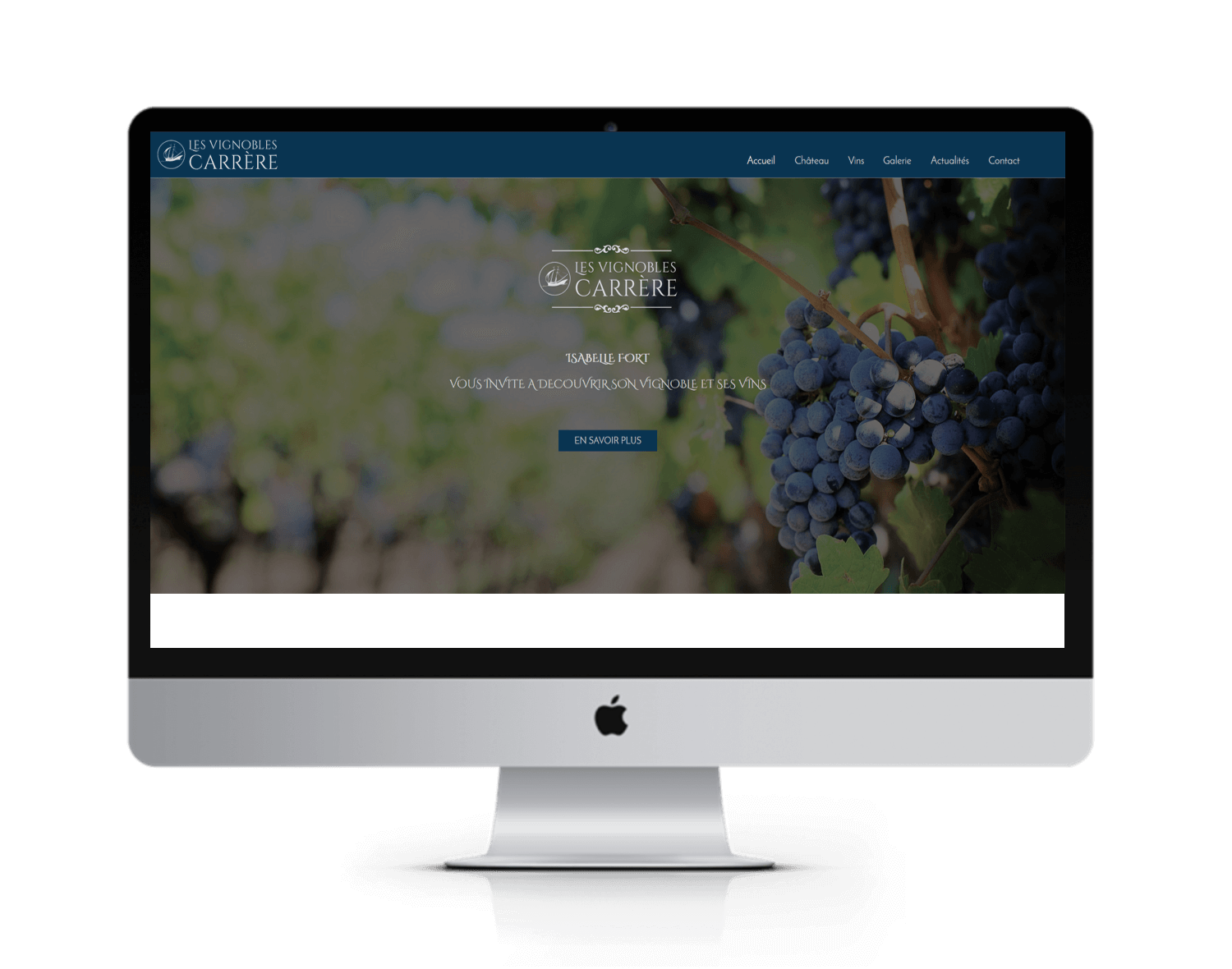 vignobles carrere site internet