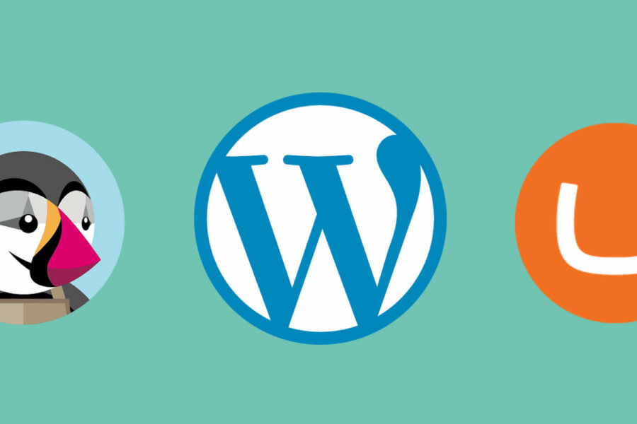 pourquoi utiliser un cms pour site vitrine professionnel