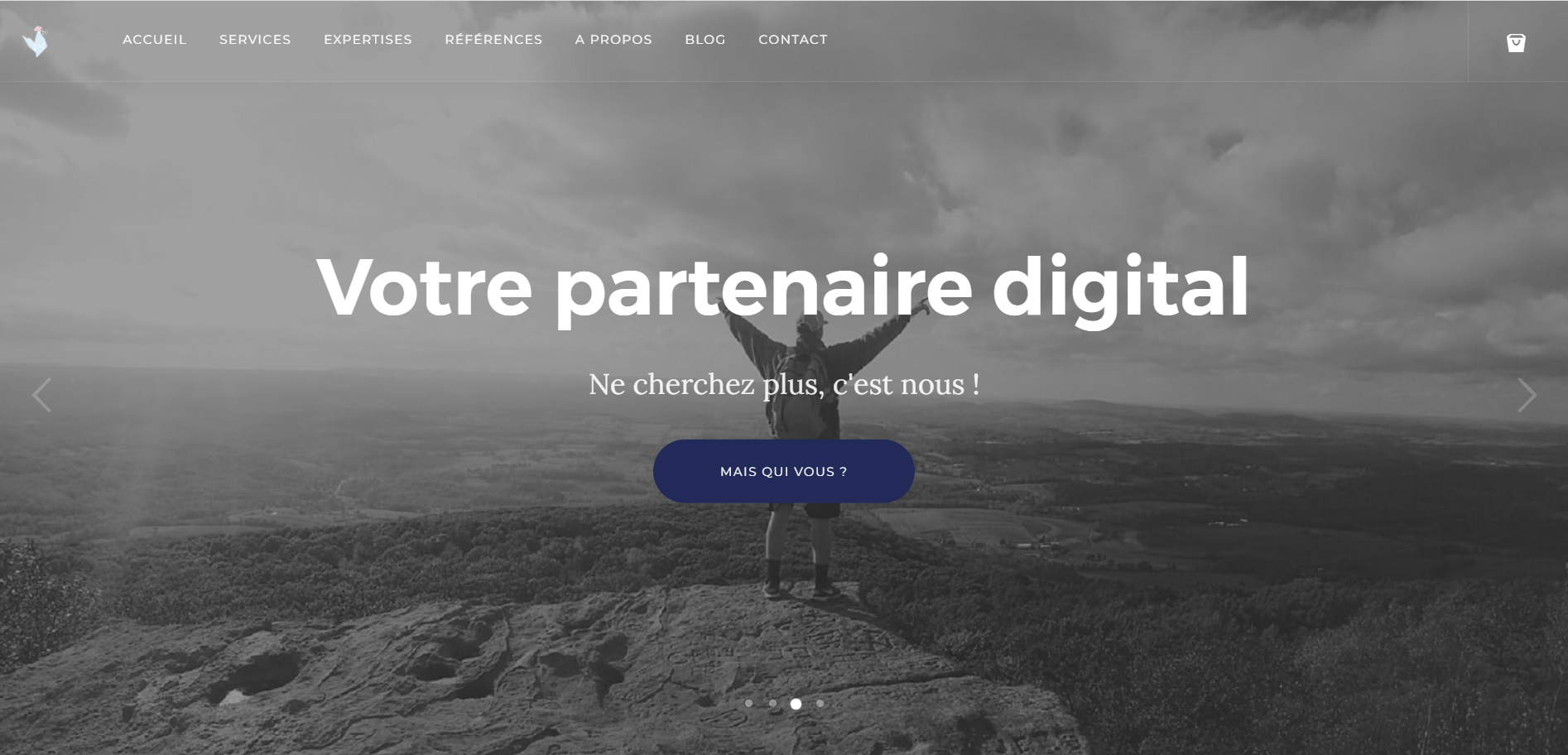 le web francais agence digitale nimes creation site internet